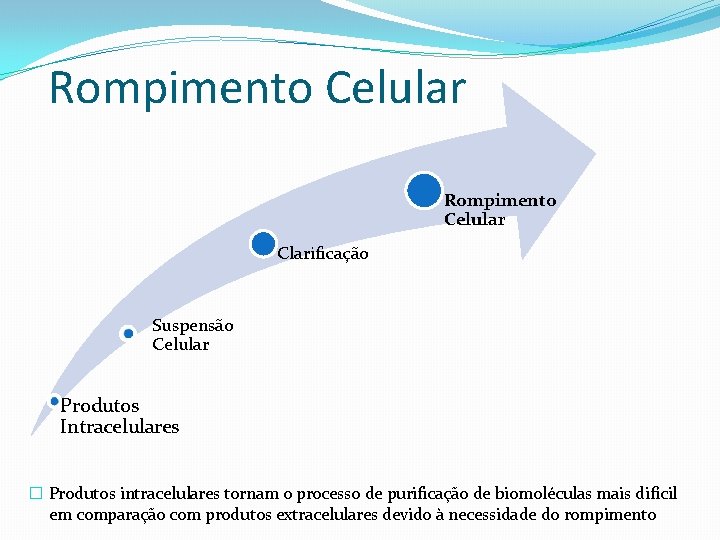 Rompimento Celular Clarificação Suspensão Celular Produtos Intracelulares � Produtos intracelulares tornam o processo de