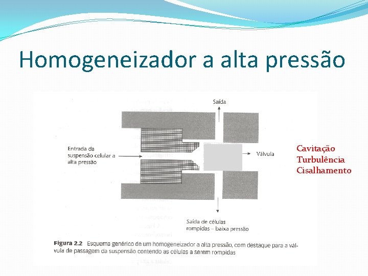 Homogeneizador a alta pressão Cavitação Turbulência Cisalhamento 