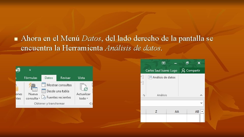 n Ahora en el Menú Datos, del lado derecho de la pantalla se encuentra