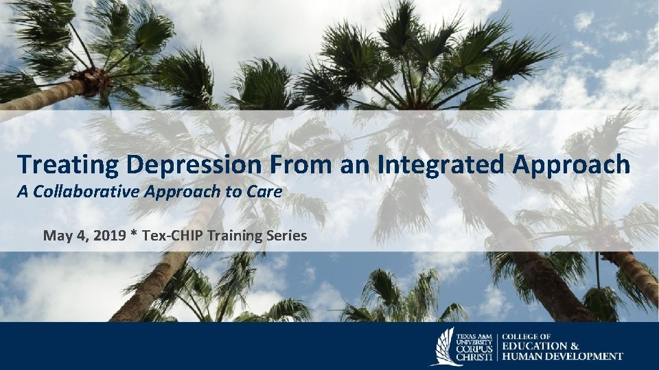 Treating Depression From an Integrated Approach A Collaborative Approach to Care May 4, 2019