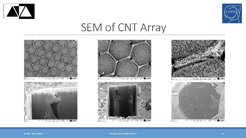 Cold Cathode Development For Electron Coolers Bruno Galante