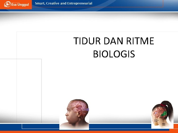 TIDUR DAN RITME BIOLOGIS PERTEMUAN 5 Oleh: Deny Surya Saputra, S. Psi. , M.