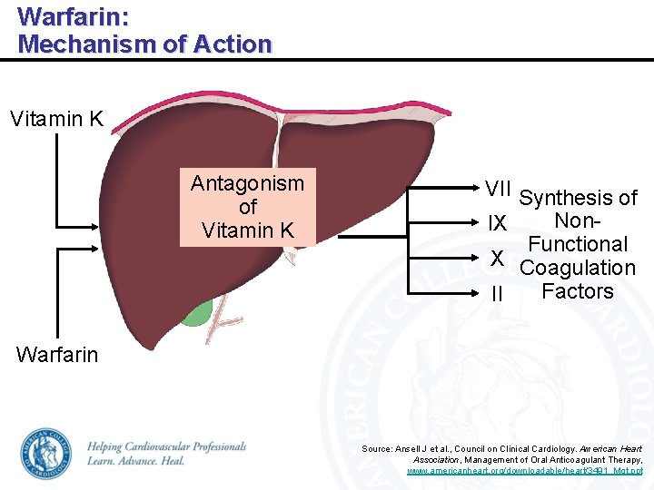 Warfarin: Mechanism of Action Vitamin K Antagonism of Vitamin K VII Synthesis of Non-