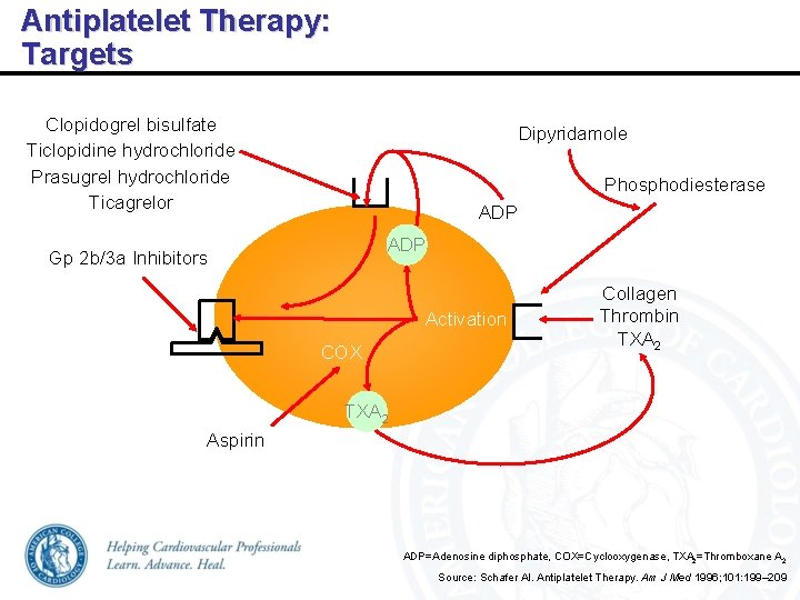 Antiplatelet Therapy: Targets Clopidogrel bisulfate Ticlopidine hydrochloride Prasugrel hydrochloride Ticagrelor Dipyridamole Phosphodiesterase ADP Gp