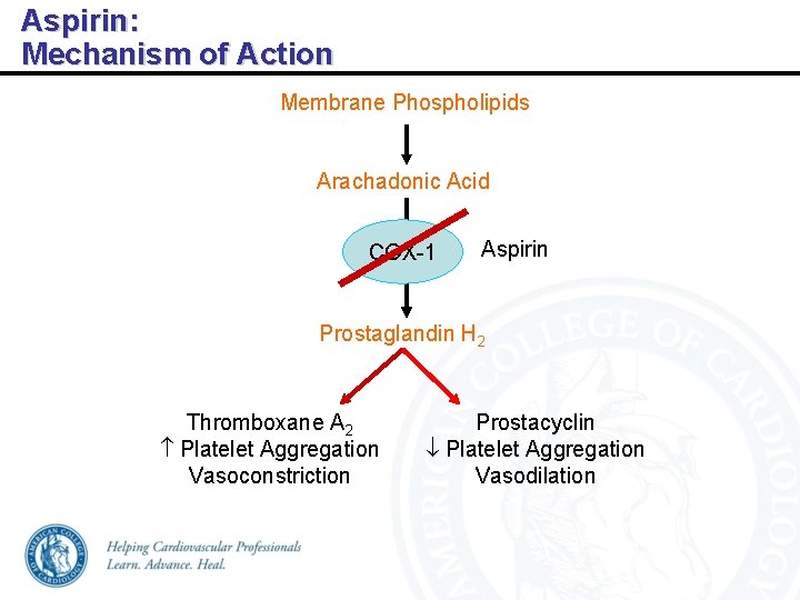 Aspirin: Mechanism of Action Membrane Phospholipids Arachadonic Acid COX-1 Aspirin Prostaglandin H 2 Thromboxane
