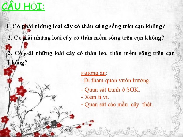 C U HỎI: 1. Có phải những loài cây có thân cứng sống trên