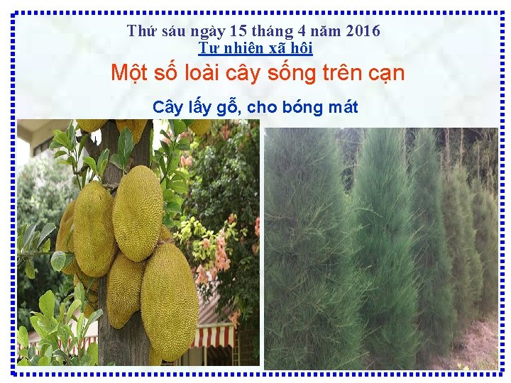 Thứ sáu ngày 15 tháng 4 năm 2016 Tự nhiên xã hội Một số