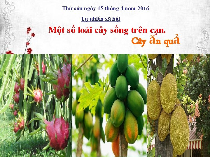 Thứ sáu ngày 15 tháng 4 năm 2016 Tự nhiên xã hội Một số