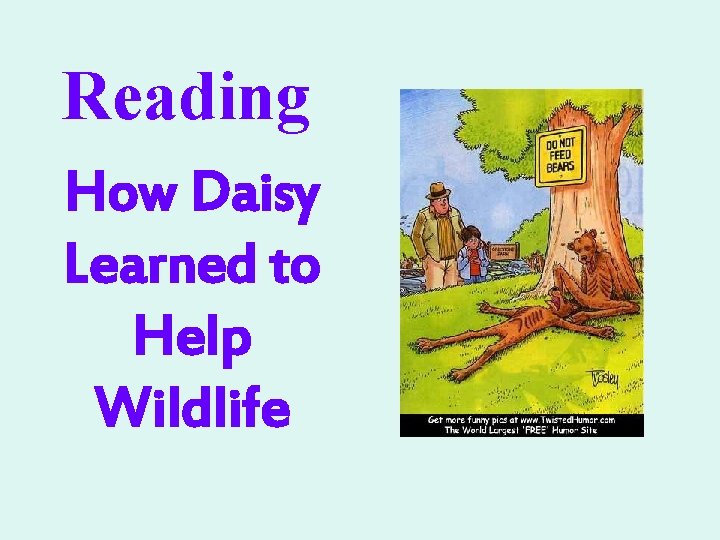 Reading How Daisy Learned to Help Wildlife Reading How Daisy Learned to Help Wildlife