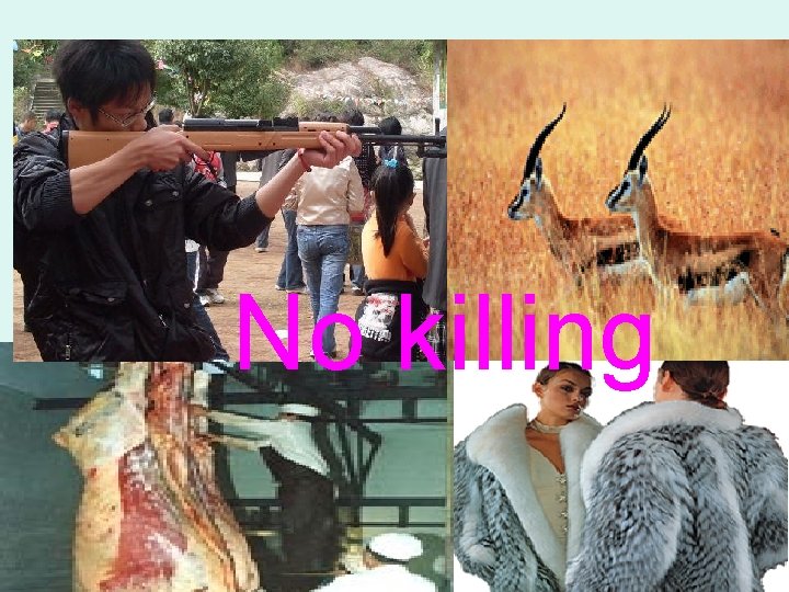 No killing No killing