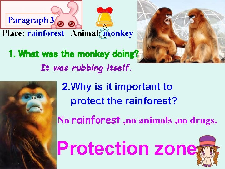 Paragraph 3 Place: rainforest Animal: monkey 1. What was the monkey doing? It was Paragraph 3 Place: rainforest Animal: monkey 1. What was the monkey doing? It was