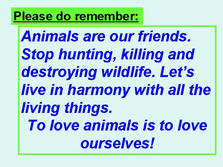 Please do remember: Animals are our friends. Stop hunting, killing and destroying wildlife. Let’s Please do remember: Animals are our friends. Stop hunting, killing and destroying wildlife. Let’s