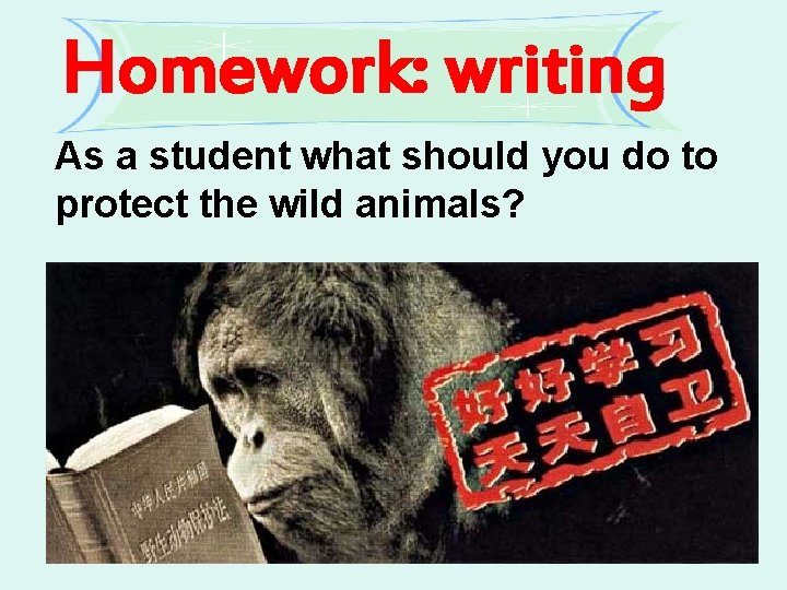Homework: writing As a student what should you do to protect the wild animals? Homework: writing As a student what should you do to protect the wild animals?