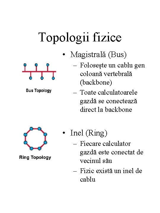 Topologii fizice • Magistrală (Bus) – Foloseşte un cablu gen coloană vertebrală (backbone) –