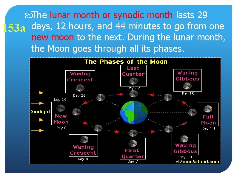 The lunar month or synodic month lasts 29 153 a days, 12 hours,