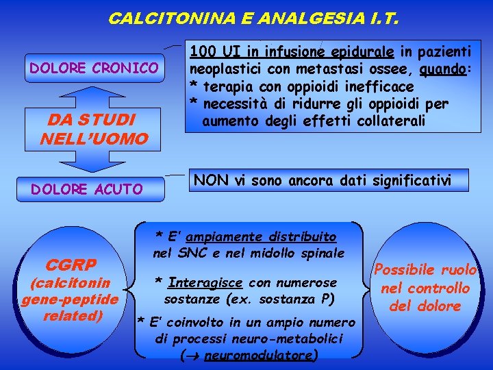 CALCITONINA E ANALGESIA I. T. DOLORE CRONICO DA STUDI NELL’UOMO DOLORE ACUTO CGRP (calcitonin