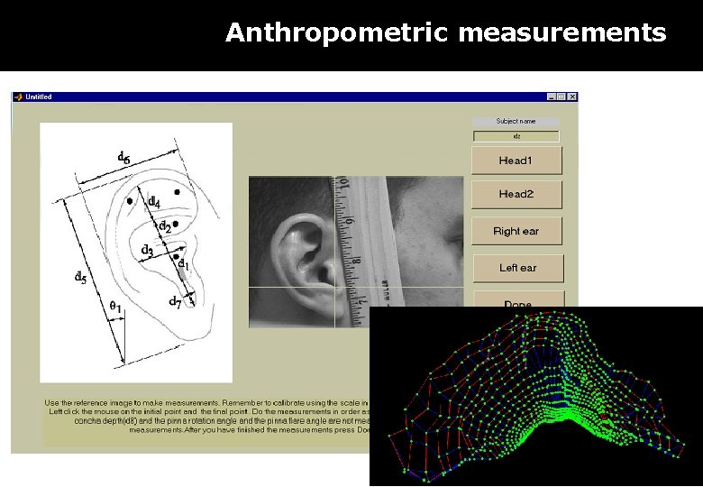 Anthropometric measurements 36 