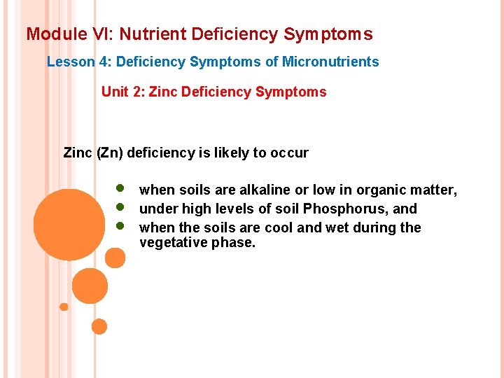 Module VI: Nutrient Deficiency Symptoms Lesson 4: Deficiency Symptoms of Micronutrients Unit 2: Zinc