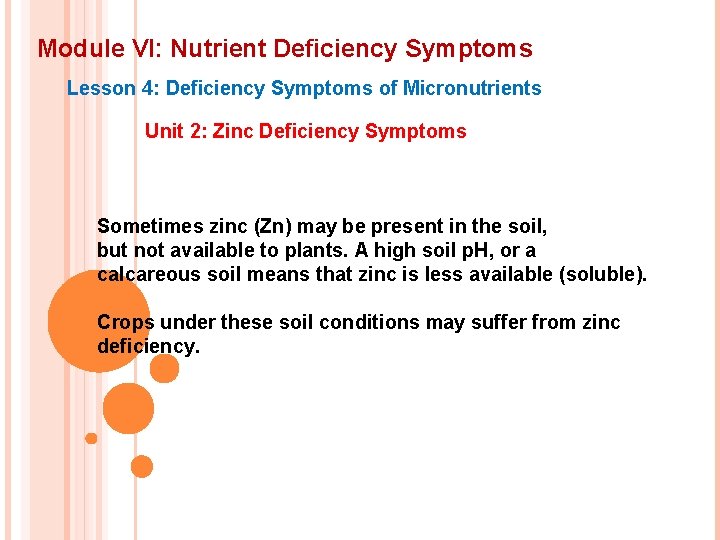 Module VI: Nutrient Deficiency Symptoms Lesson 4: Deficiency Symptoms of Micronutrients Unit 2: Zinc