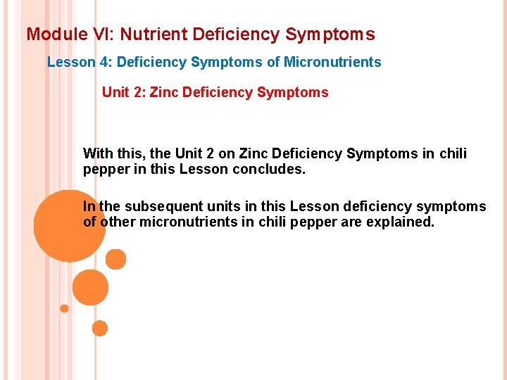 Module VI: Nutrient Deficiency Symptoms Lesson 4: Deficiency Symptoms of Micronutrients Unit 2: Zinc