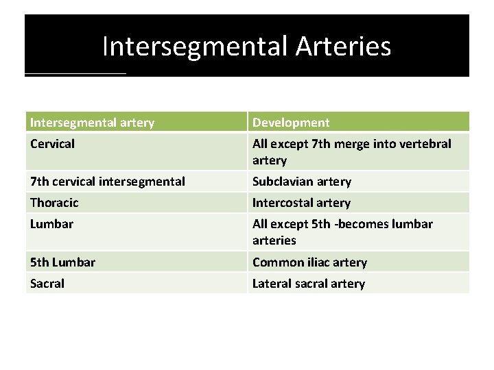 Intersegmental Arteries Intersegmental artery Development Cervical All except 7 th merge into vertebral artery Intersegmental Arteries Intersegmental artery Development Cervical All except 7 th merge into vertebral artery