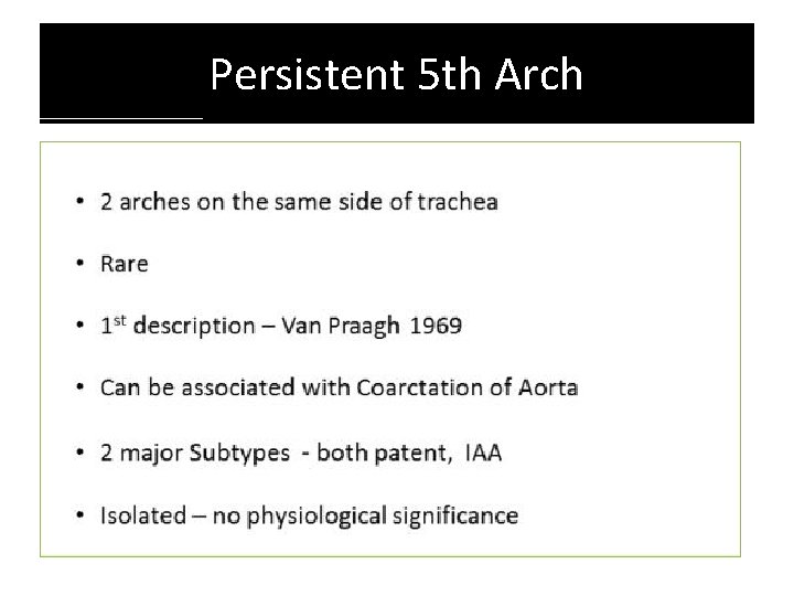 Persistent 5 th Arch Persistent 5 th Arch