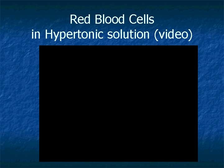 Red Blood Cells in Hypertonic solution (video) Red Blood Cells in Hypertonic solution (video)