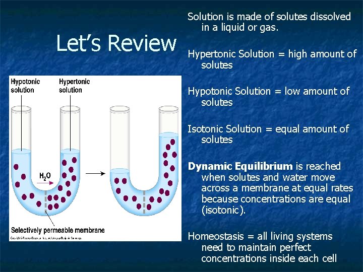 Let’s Review Solution is made of solutes dissolved in a liquid or gas. Hypertonic Let’s Review Solution is made of solutes dissolved in a liquid or gas. Hypertonic