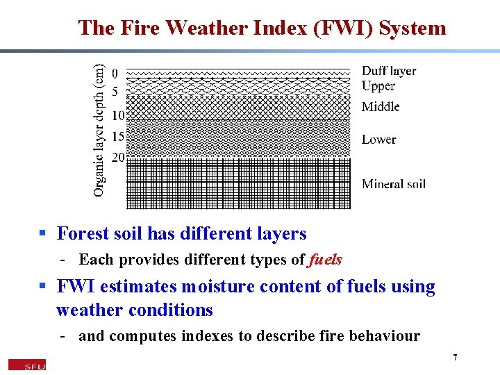 The Fire Weather Index (FWI) System § Forest soil has different layers - Each