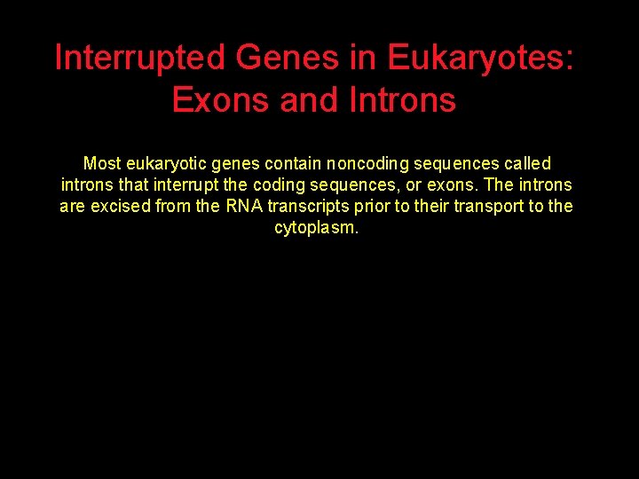 Interrupted Genes in Eukaryotes: Exons and Introns Most eukaryotic genes contain noncoding sequences called