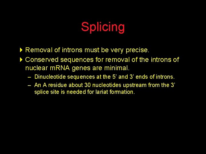 Splicing 4 Removal of introns must be very precise. 4 Conserved sequences for removal