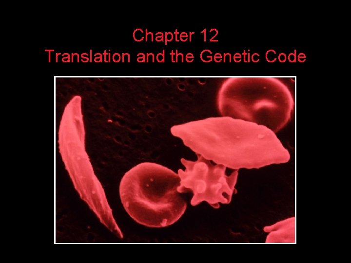 Chapter 12 Translation and the Genetic Code 