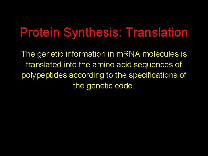 Protein Synthesis: Translation The genetic information in m. RNA molecules is translated into the