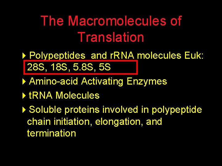 The Macromolecules of Translation 4 Polypeptides and r. RNA molecules Euk: 28 S, 18