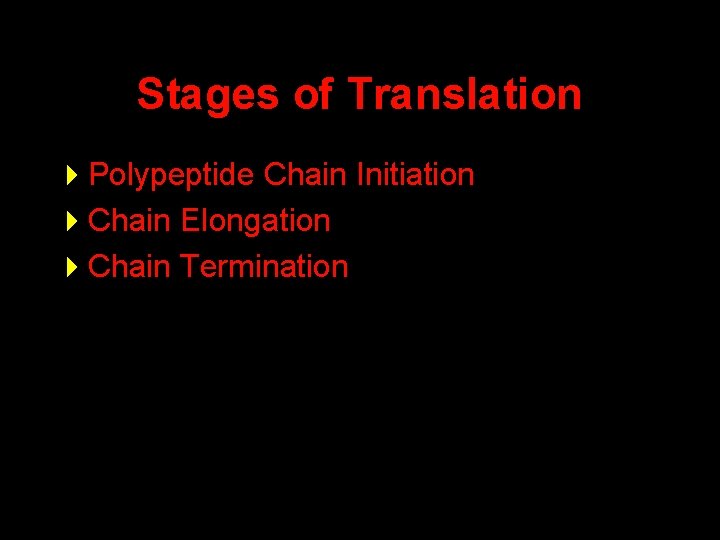 Stages of Translation 4 Polypeptide Chain Initiation 4 Chain Elongation 4 Chain Termination 