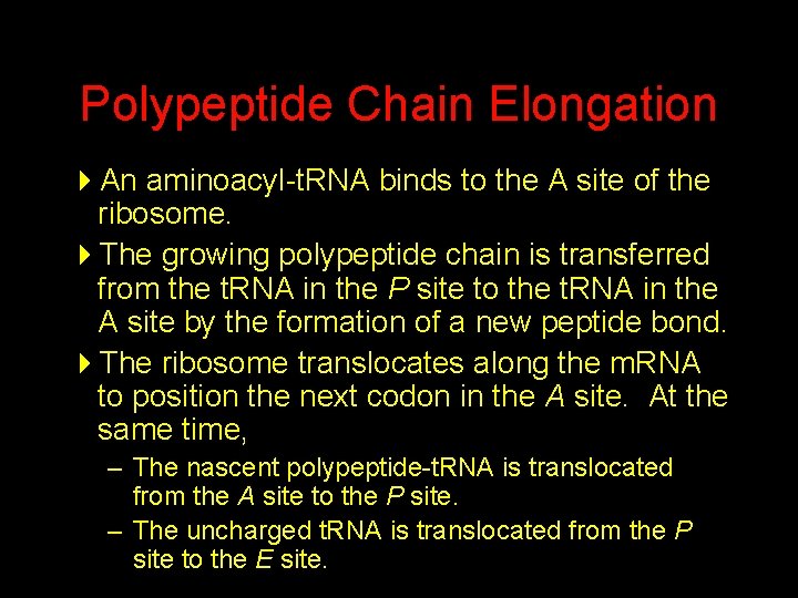 Polypeptide Chain Elongation 4 An aminoacyl-t. RNA binds to the A site of the