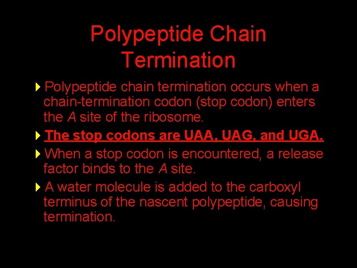 Polypeptide Chain Termination 4 Polypeptide chain termination occurs when a chain-termination codon (stop codon)
