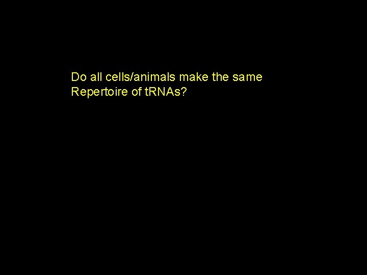 Do all cells/animals make the same Repertoire of t. RNAs? 