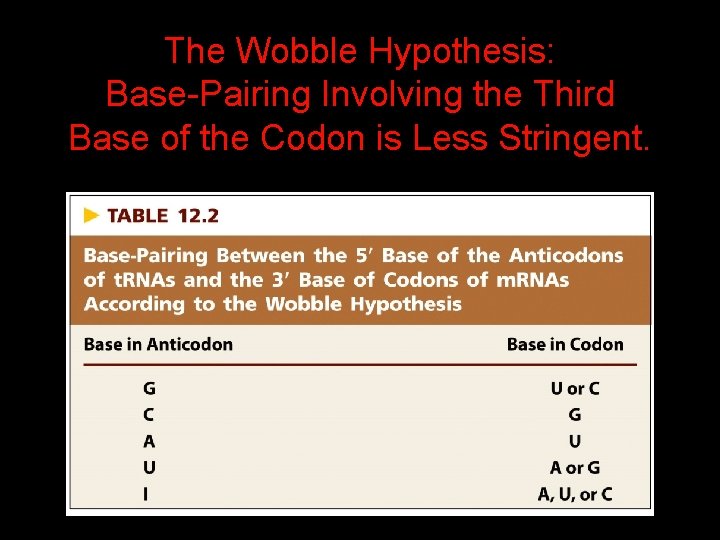 The Wobble Hypothesis: Base-Pairing Involving the Third Base of the Codon is Less Stringent.