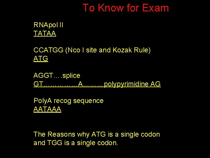 To Know for Exam RNApol II TATAA CCATGG (Nco I site and Kozak Rule)