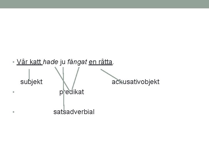 • Vår katt hade ju fångat en råtta. subjekt • • ackusativobjekt predikat • Vår katt hade ju fångat en råtta. subjekt • • ackusativobjekt predikat