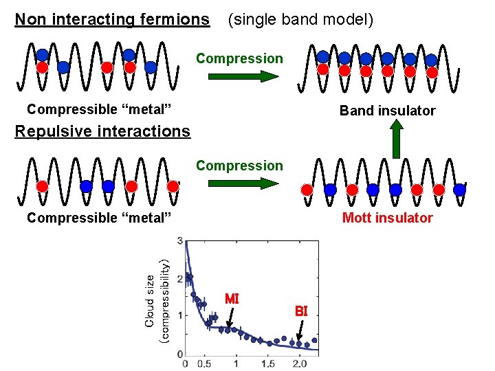 Non interacting fermions (single band model) Compression Compressible “metal” Band insulator Repulsive interactions Compression
