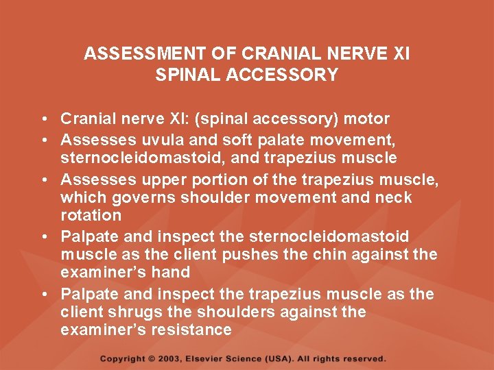 ASSESSMENT OF CRANIAL NERVE XI SPINAL ACCESSORY • Cranial nerve XI: (spinal accessory) motor ASSESSMENT OF CRANIAL NERVE XI SPINAL ACCESSORY • Cranial nerve XI: (spinal accessory) motor