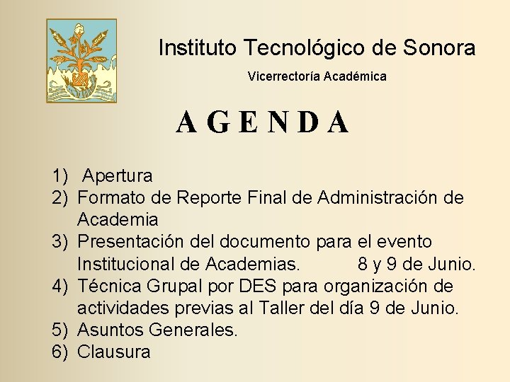 Instituto Tecnológico de Sonora Vicerrectoría Académica A G E N D A 1) Apertura