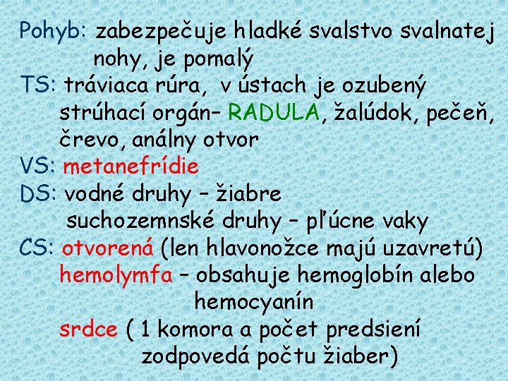 Pohyb: zabezpečuje hladké svalstvo svalnatej nohy, je pomalý TS: tráviaca rúra, v ústach je