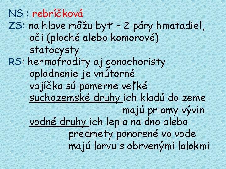 NS : rebríčková ZS: na hlave môžu byť – 2 páry hmatadiel, oči (ploché