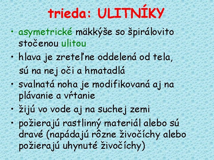 trieda: ULITNÍKY • asymetrické mäkkýše so špirálovito stočenou ulitou • hlava je zreteľne oddelená