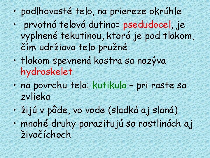  • podlhovasté telo, na priereze okrúhle • prvotná telová dutina= psedudocel, je vyplnené