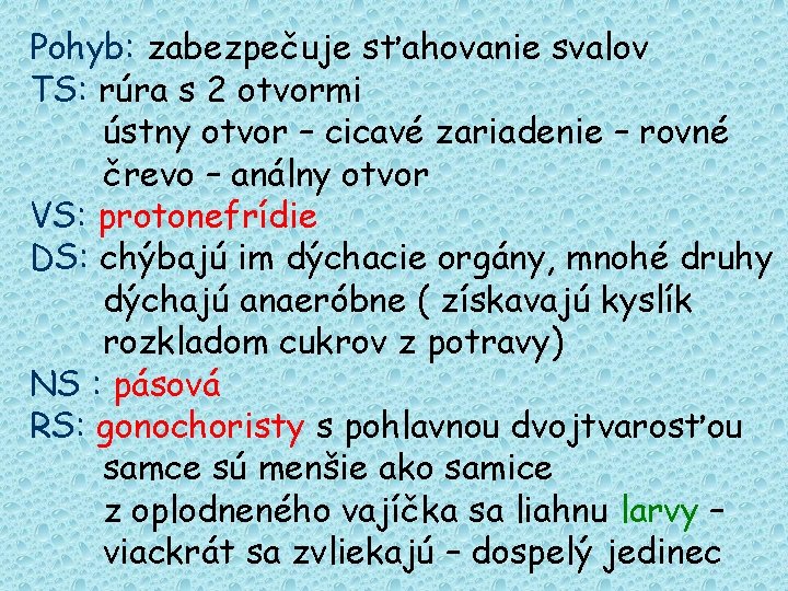 Pohyb: zabezpečuje sťahovanie svalov TS: rúra s 2 otvormi ústny otvor – cicavé zariadenie