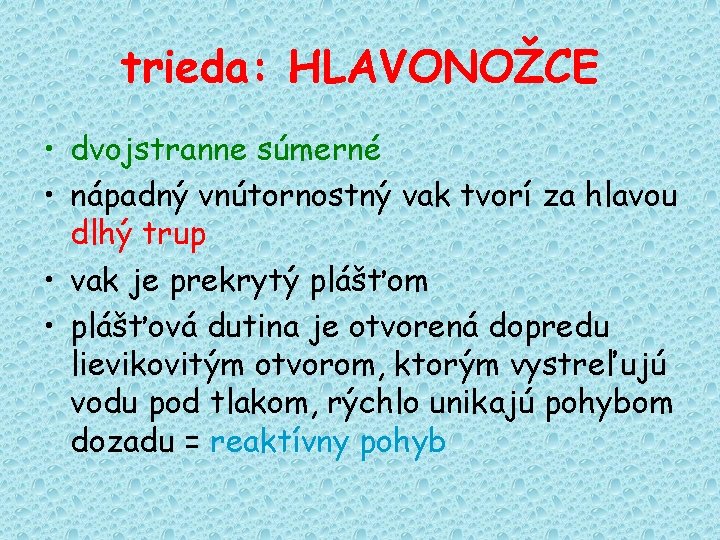 trieda: HLAVONOŽCE • dvojstranne súmerné • nápadný vnútornostný vak tvorí za hlavou dlhý trup